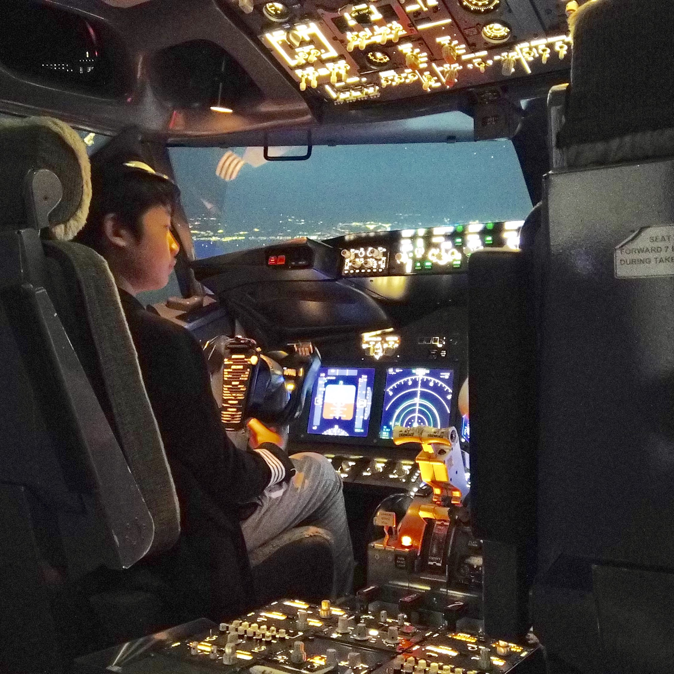 flight simulator